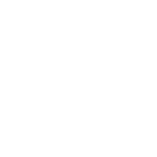 Child Seat